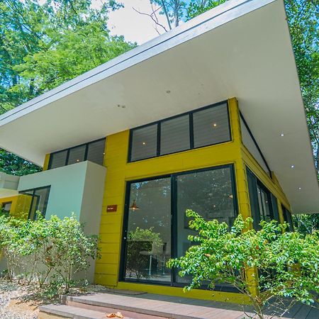 Selva Color - Forest & Beach Ecolodge Quebrada Ganado المظهر الخارجي الصورة