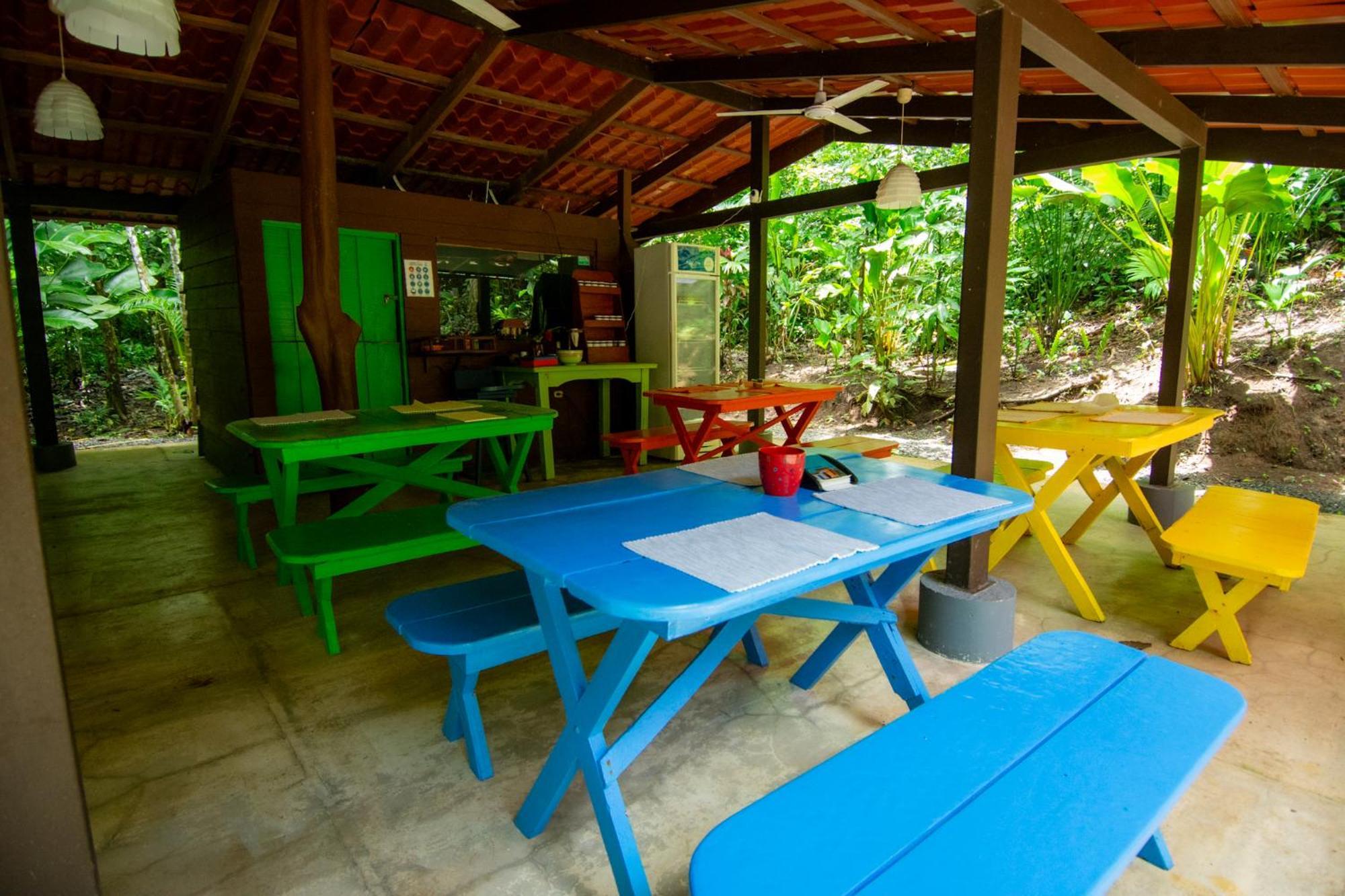 Selva Color - Forest & Beach Ecolodge Quebrada Ganado المظهر الخارجي الصورة