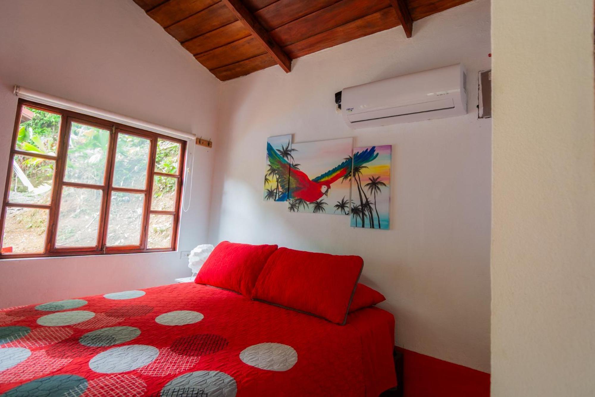 Selva Color - Forest & Beach Ecolodge Quebrada Ganado الغرفة الصورة