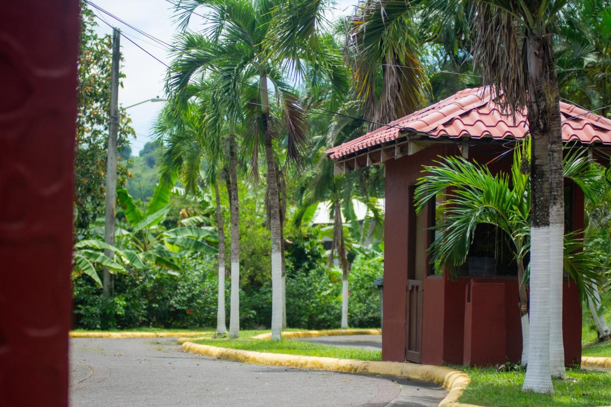Selva Color - Forest & Beach Ecolodge Quebrada Ganado المظهر الخارجي الصورة