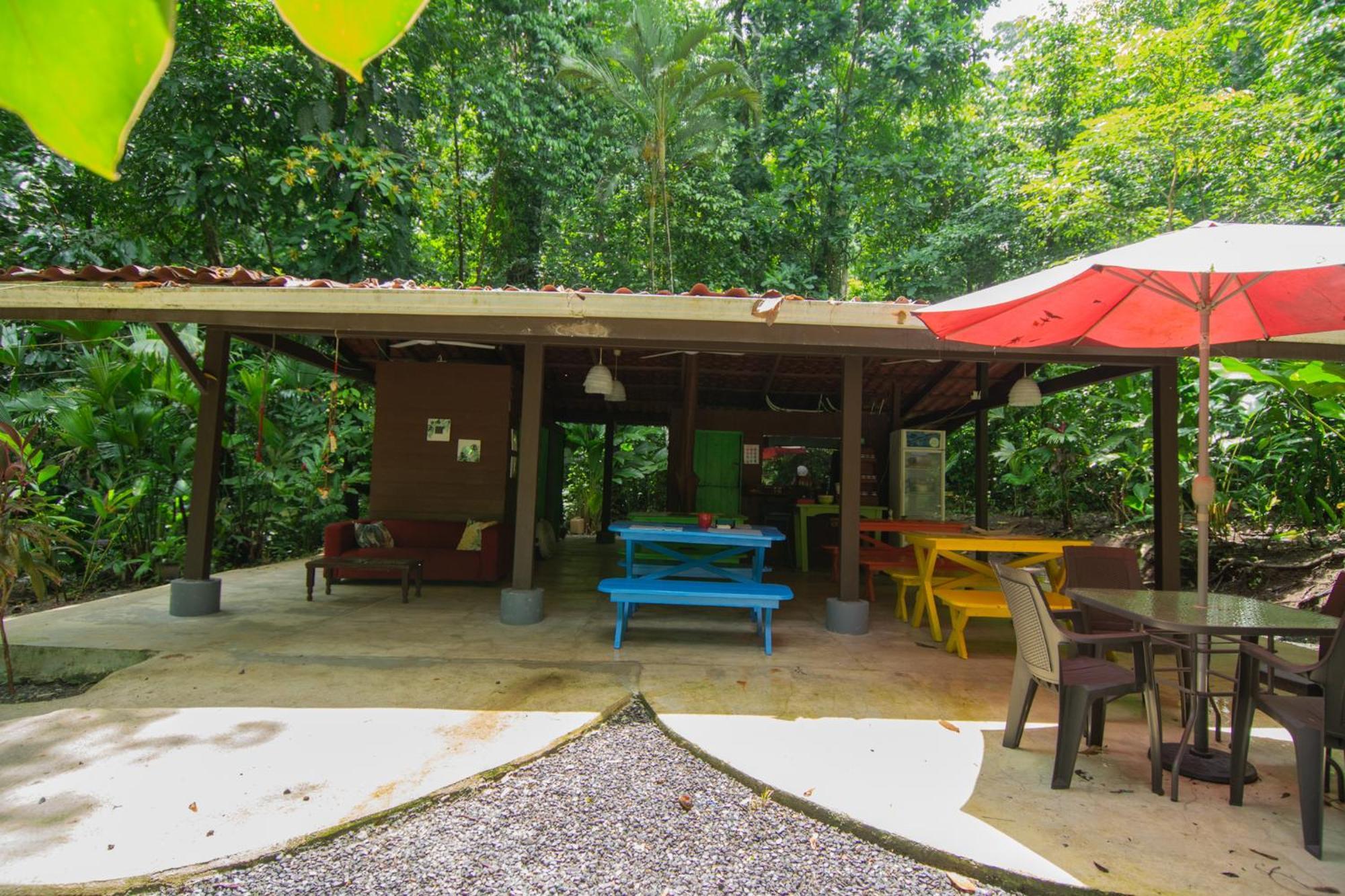 Selva Color - Forest & Beach Ecolodge Quebrada Ganado المظهر الخارجي الصورة