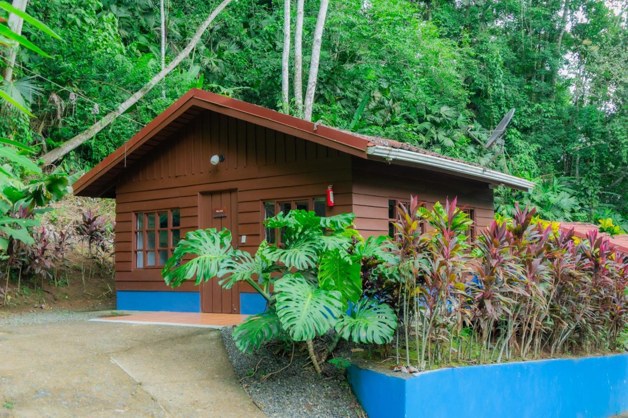 Selva Color - Forest & Beach Ecolodge Quebrada Ganado المظهر الخارجي الصورة