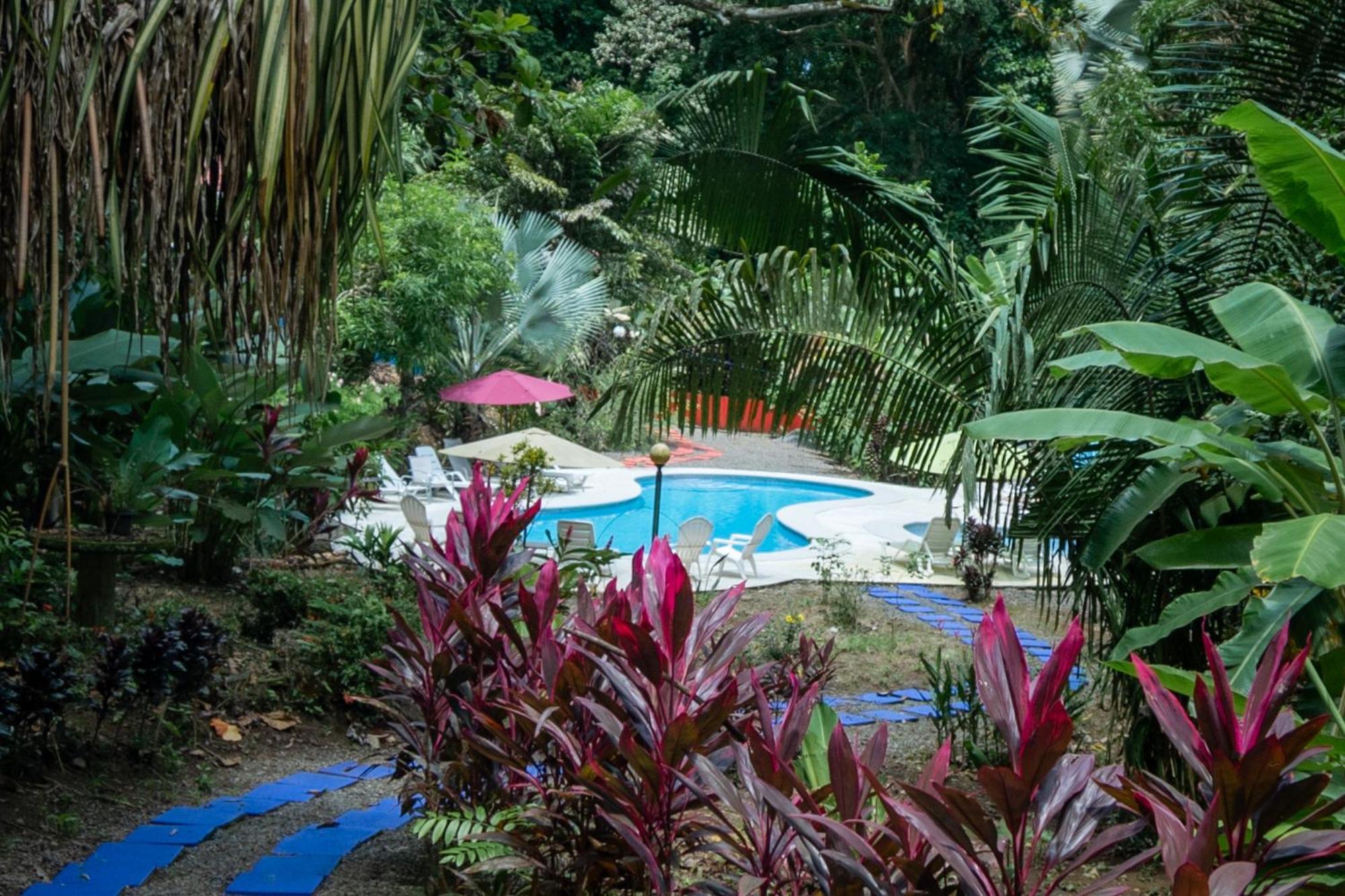 Selva Color - Forest & Beach Ecolodge Quebrada Ganado المظهر الخارجي الصورة
