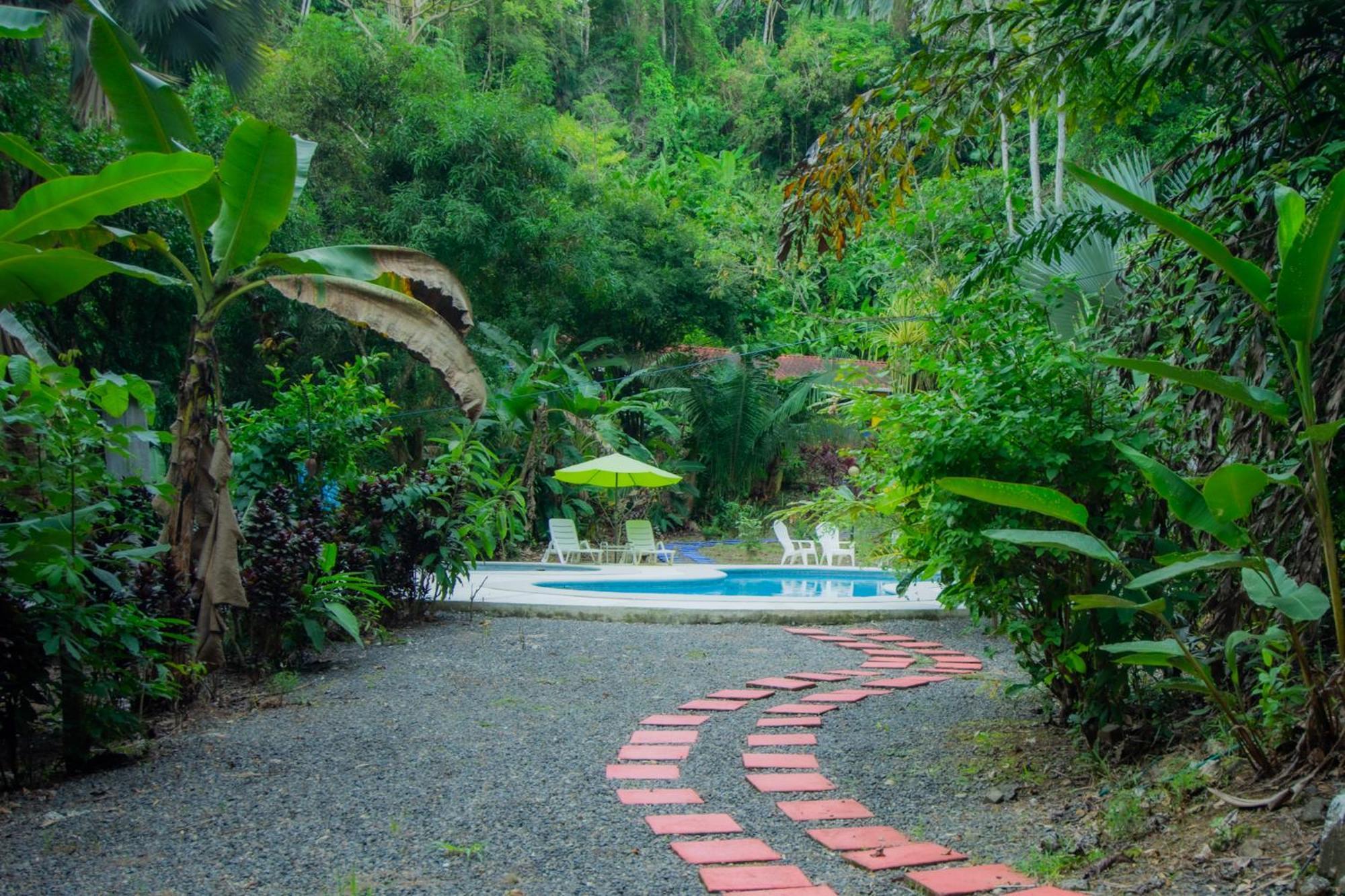 Selva Color - Forest & Beach Ecolodge Quebrada Ganado المظهر الخارجي الصورة
