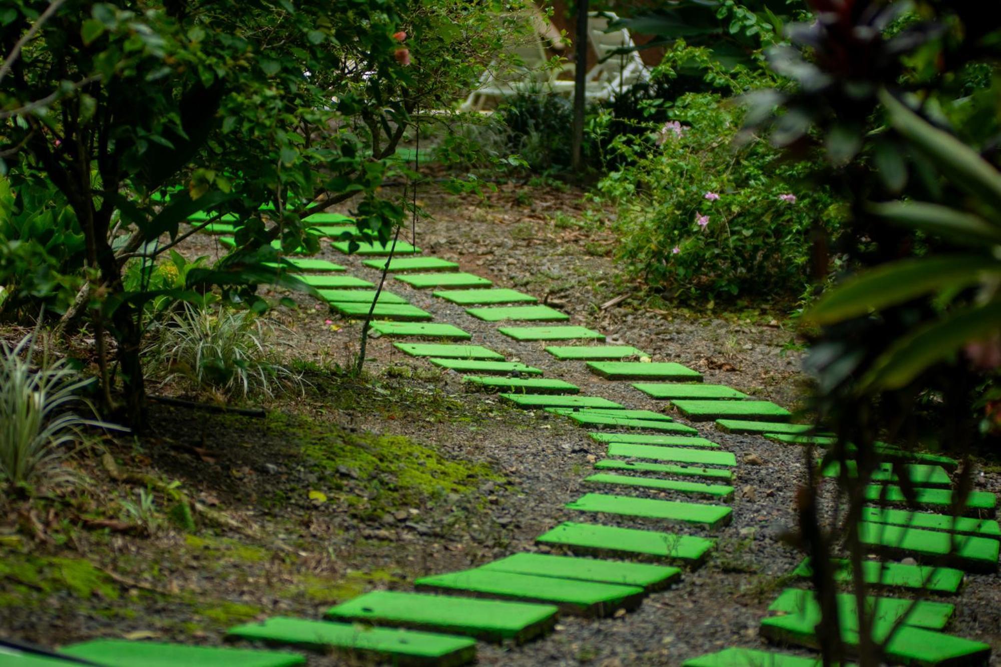 Selva Color - Forest & Beach Ecolodge Quebrada Ganado المظهر الخارجي الصورة