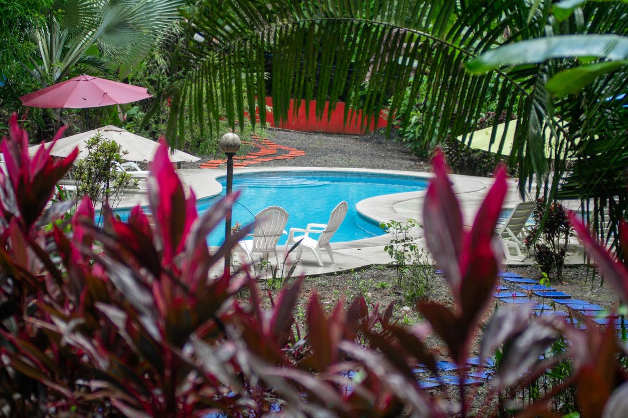 Selva Color - Forest & Beach Ecolodge Quebrada Ganado المظهر الخارجي الصورة