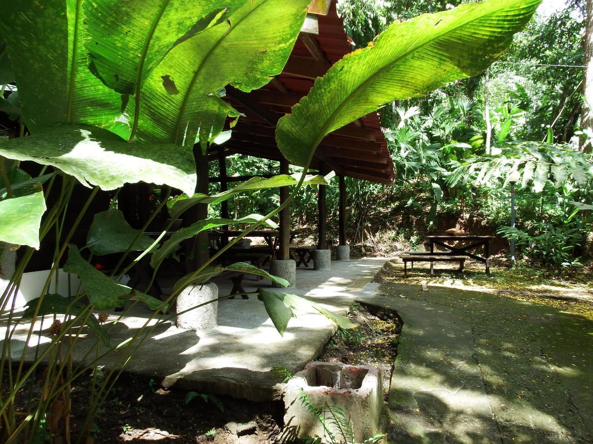 Selva Color - Forest & Beach Ecolodge Quebrada Ganado المظهر الخارجي الصورة