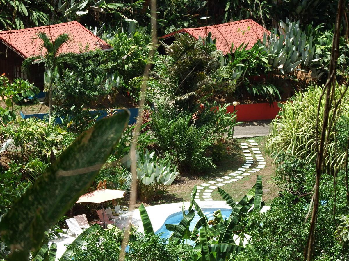 Selva Color - Forest & Beach Ecolodge Quebrada Ganado المظهر الخارجي الصورة