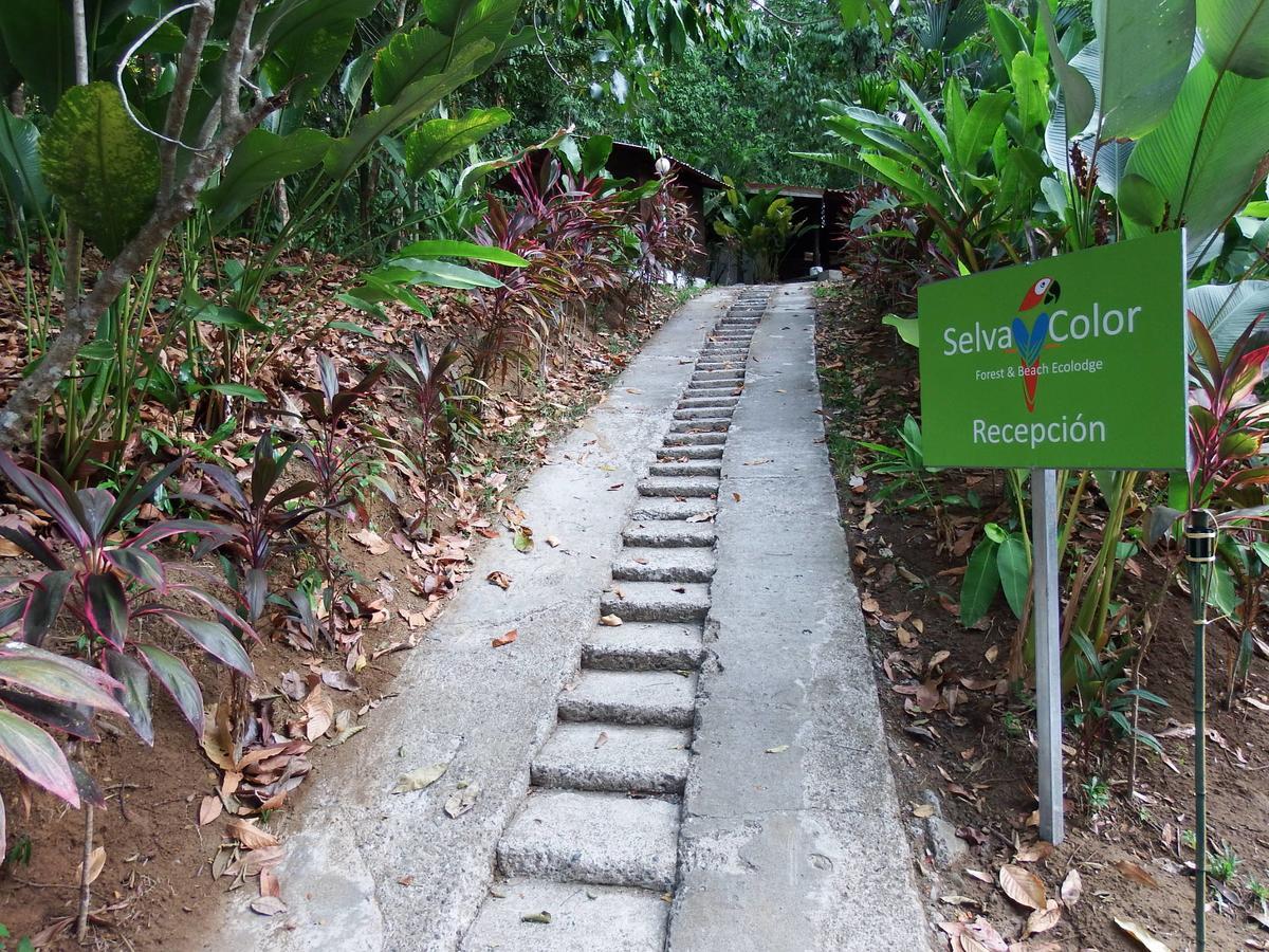 Selva Color - Forest & Beach Ecolodge Quebrada Ganado المظهر الخارجي الصورة