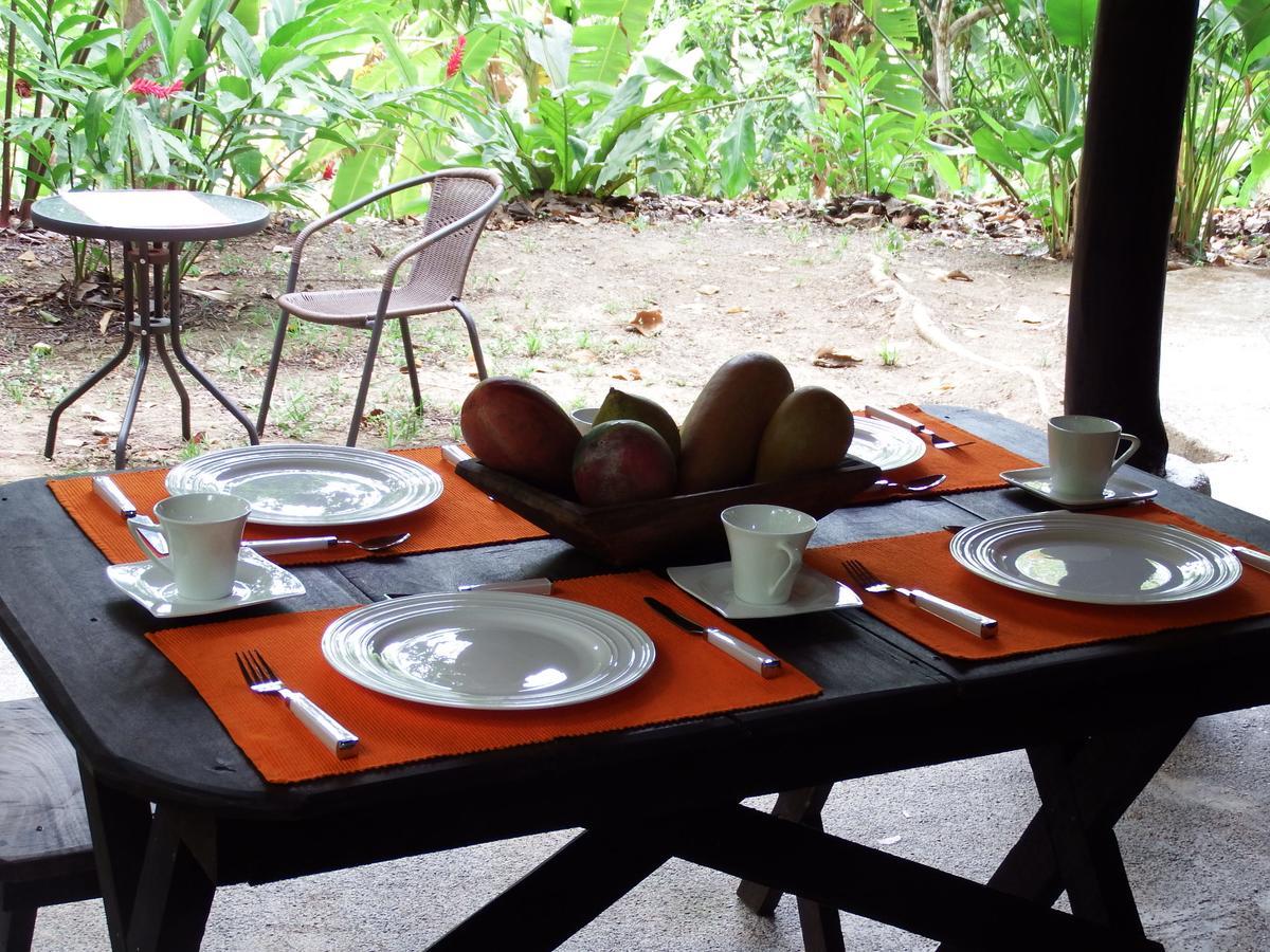 Selva Color - Forest & Beach Ecolodge Quebrada Ganado المظهر الخارجي الصورة