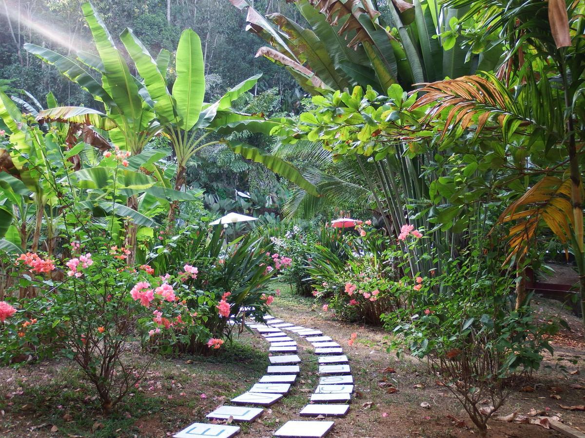 Selva Color - Forest & Beach Ecolodge Quebrada Ganado المظهر الخارجي الصورة