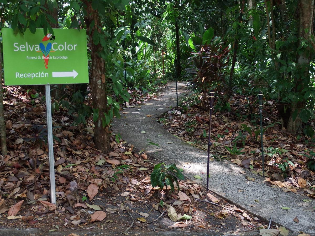 Selva Color - Forest & Beach Ecolodge Quebrada Ganado المظهر الخارجي الصورة