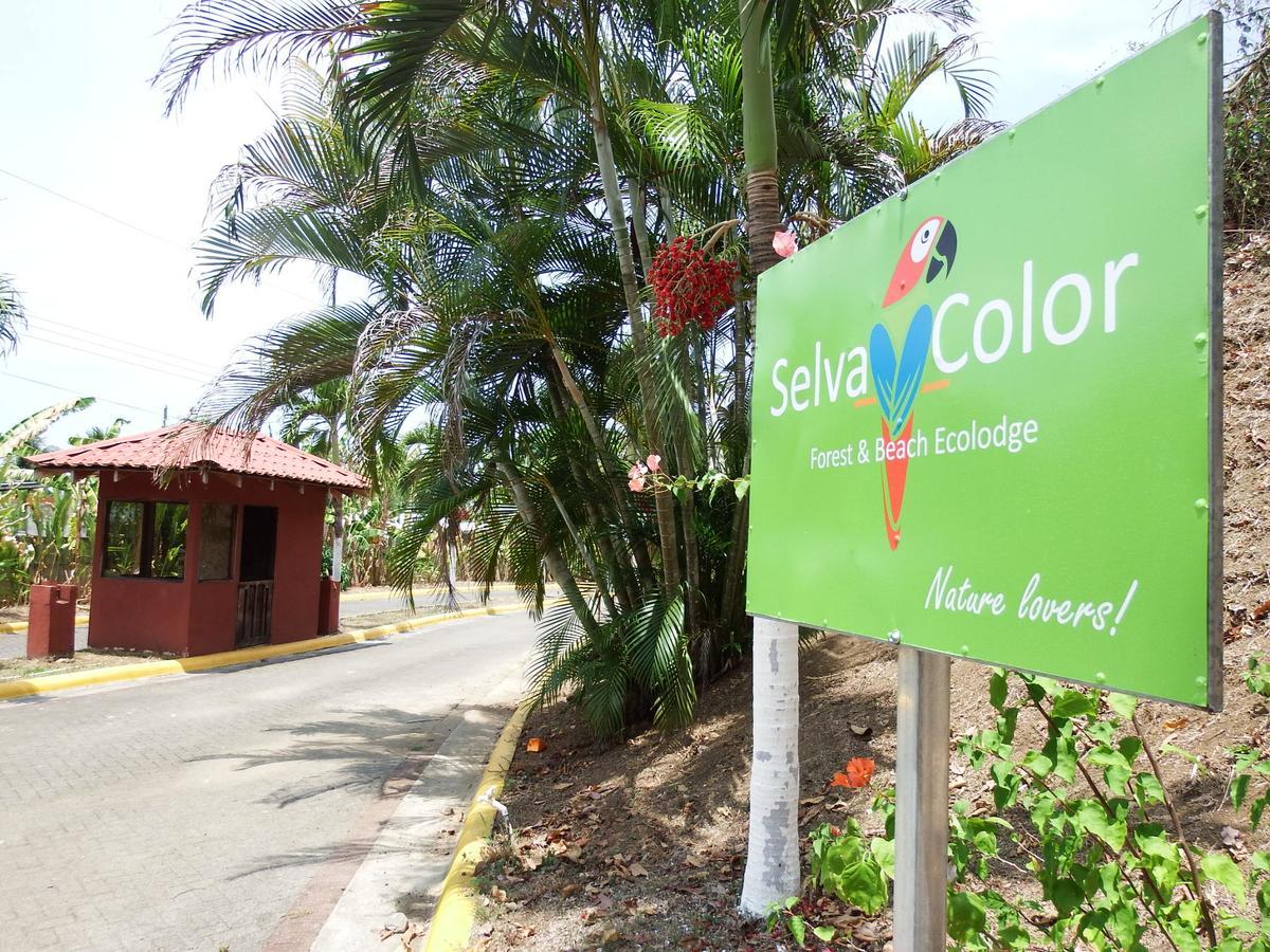 Selva Color - Forest & Beach Ecolodge Quebrada Ganado المظهر الخارجي الصورة